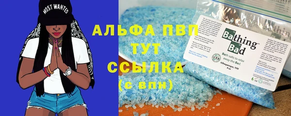 молекула духа Бронницы