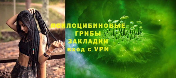 молекула духа Бронницы