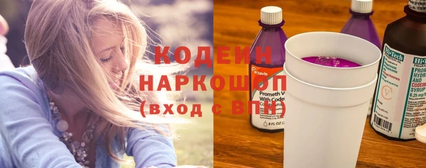 молекула духа Бронницы